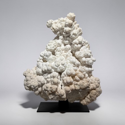 Large specimen of Aragonite - Curiosities Style 