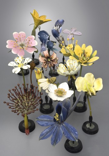 Collection des modèles de fleurs, par Robert Brendel - Objets de Curiosité Style Napoléon III