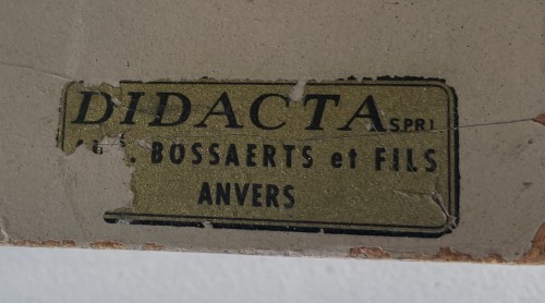 Une rare paire de modèles anatomiques d'abeille mellifère européenne - Torkild