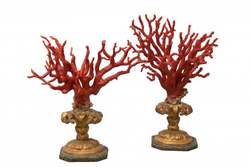 Paire de branches de corail