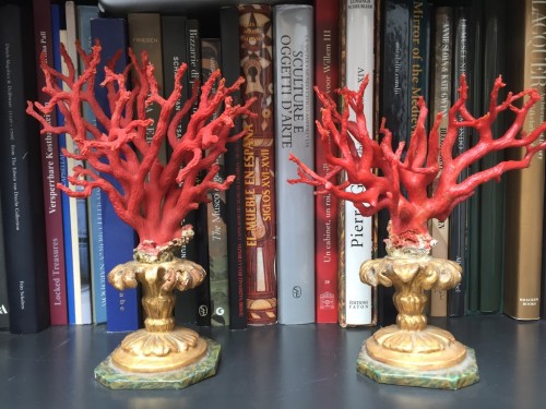 Pair of coral branches - Curiosities Style Transition