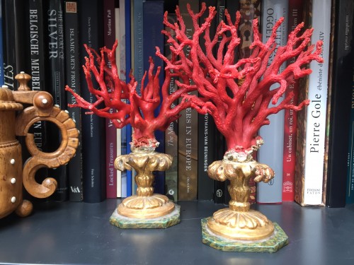 Objets de Curiosité  - Paire de branches de corail