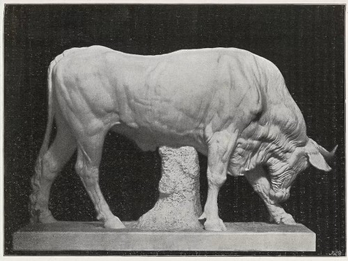 The bull by ernst moritz geyger in humboldthain - 