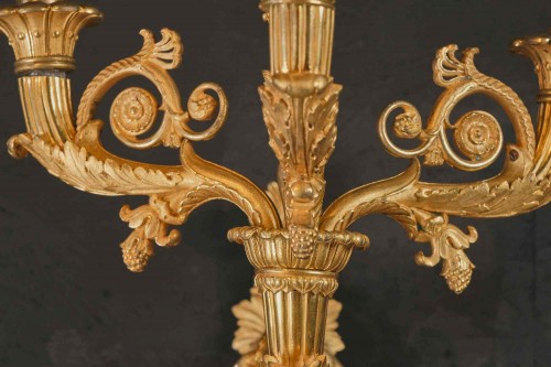 XIXe siècle - Paire d'appliques Charles X en bronze doré, Paris vers 1830