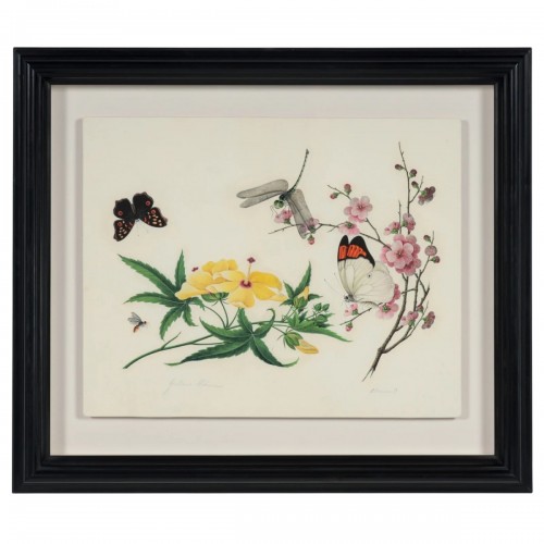 Aquarelle botanique et entomologique anglo-chinoise vers 1815-1820