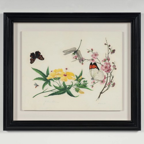XIXe siècle - Aquarelle botanique et entomologique anglo-chinoise vers 1815-1820