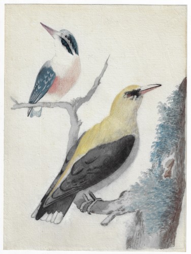 Abraham Meertens (1747–1823) Birds on a Branch