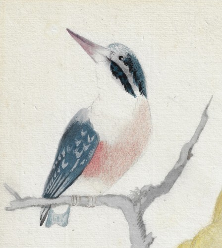 Abraham Meertens (1747–1823) Birds on a Branch - Paintings & Drawings Style Louis XVI