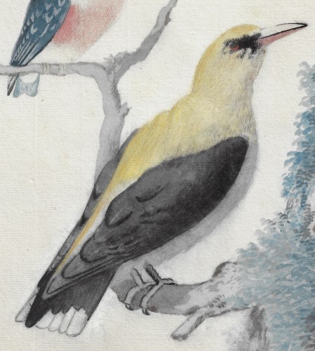 Abraham Meertens (1747–1823) Birds on a Branch - 
