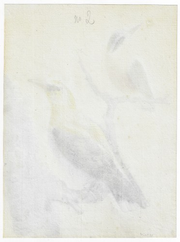 Louis XVI - Abraham Meertens (1747–1823) Birds on a Branch