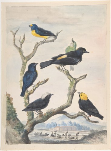 Antiquités - Abraham Meertens (1747–1823) Birds on a Branch