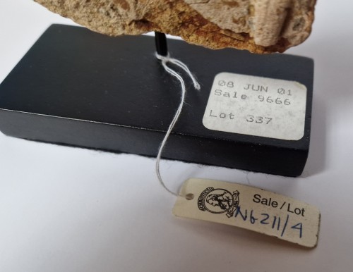 Babylonian Terracotta Tablet with Erotic Scene, 2100 BCE - 1600 BCE   - 