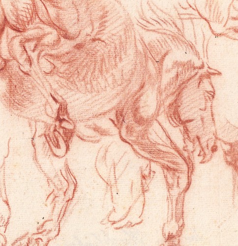 Studies of a Horse  By Jan Van Huchtenburg (1647-1733) - Paintings & Drawings Style Louis XIV
