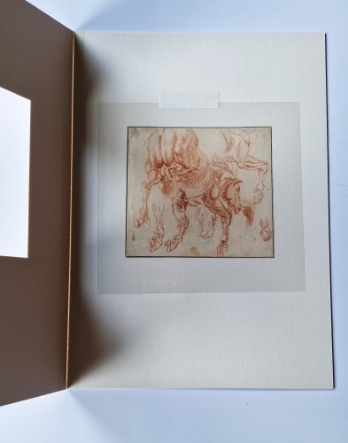17th century - Studies of a Horse  By Jan Van Huchtenburg (1647-1733)