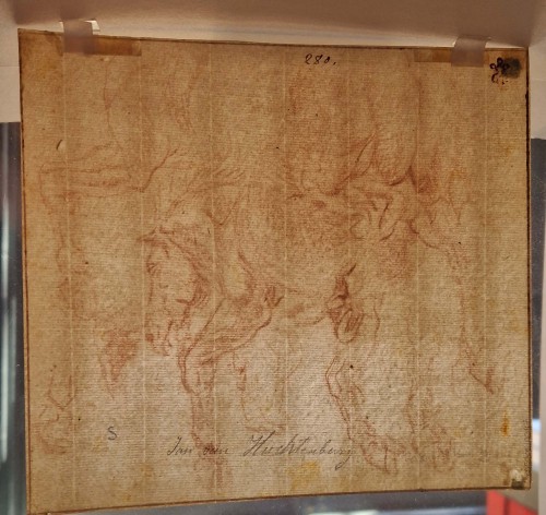 Antiquités - Studies of a Horse  By Jan Van Huchtenburg (1647-1733)